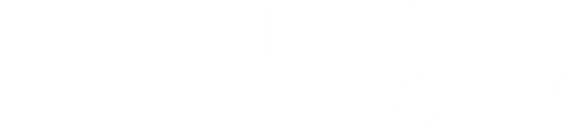 Drive Theory
